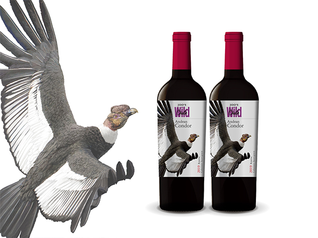 JOO's?Condor?Red?Wines  大兀鹰干红葡萄酒