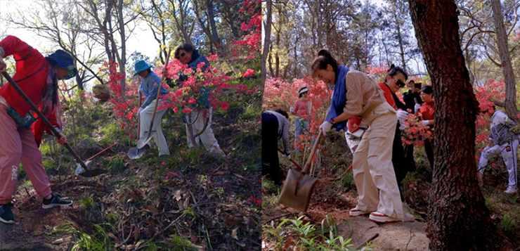<b>种下一抹新绿，培植一簇希望！1277星际电子游戏中国为万亩丛林锦上添花</b>