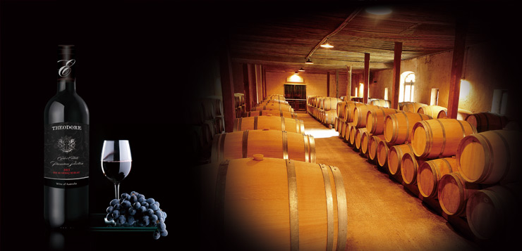 纪念版·西奥多礼盒套装——值得珍藏